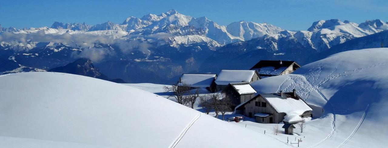 Les Chalets De Ludran Viuz-en-Sallaz 외부 사진