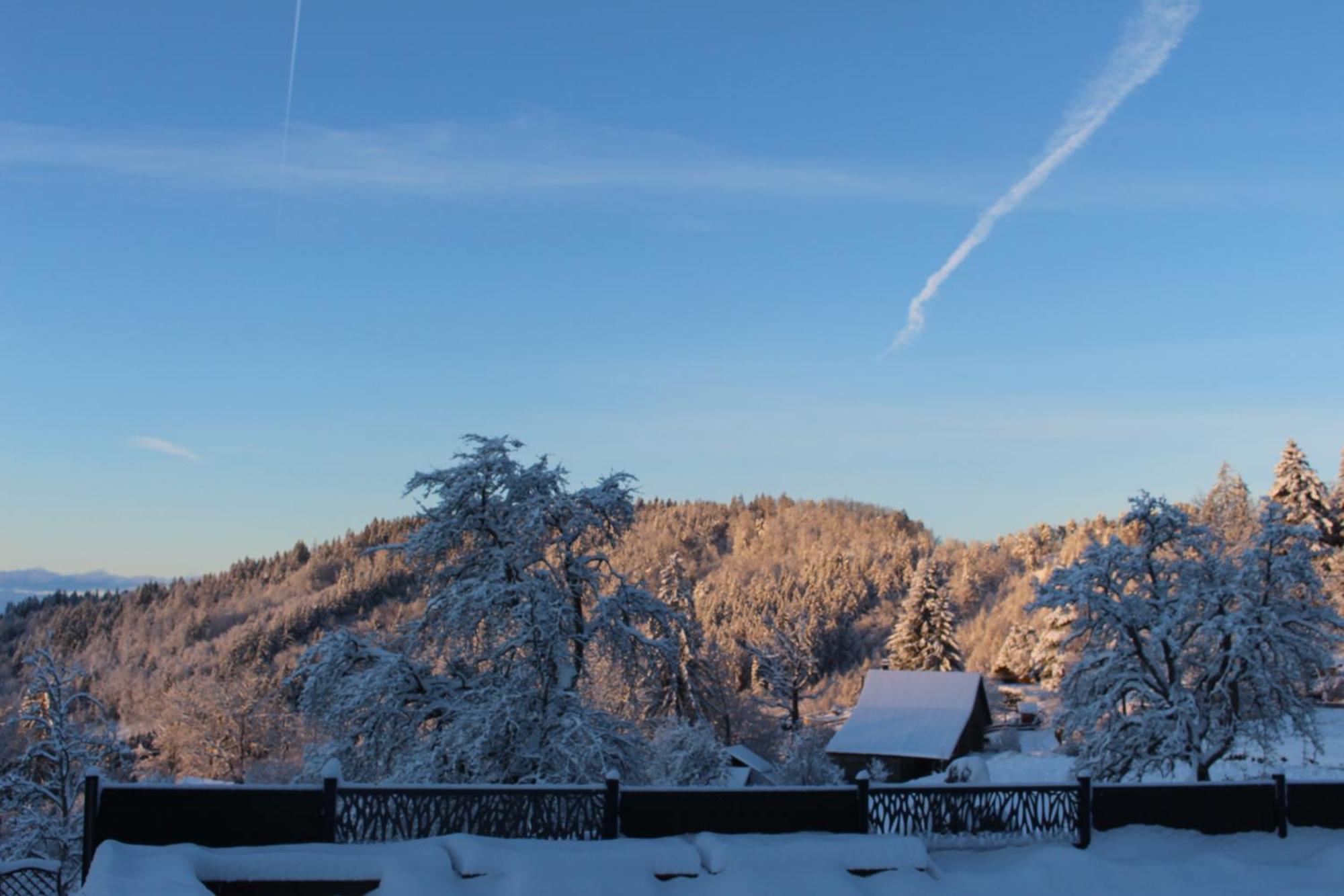 Les Chalets De Ludran Viuz-en-Sallaz 외부 사진