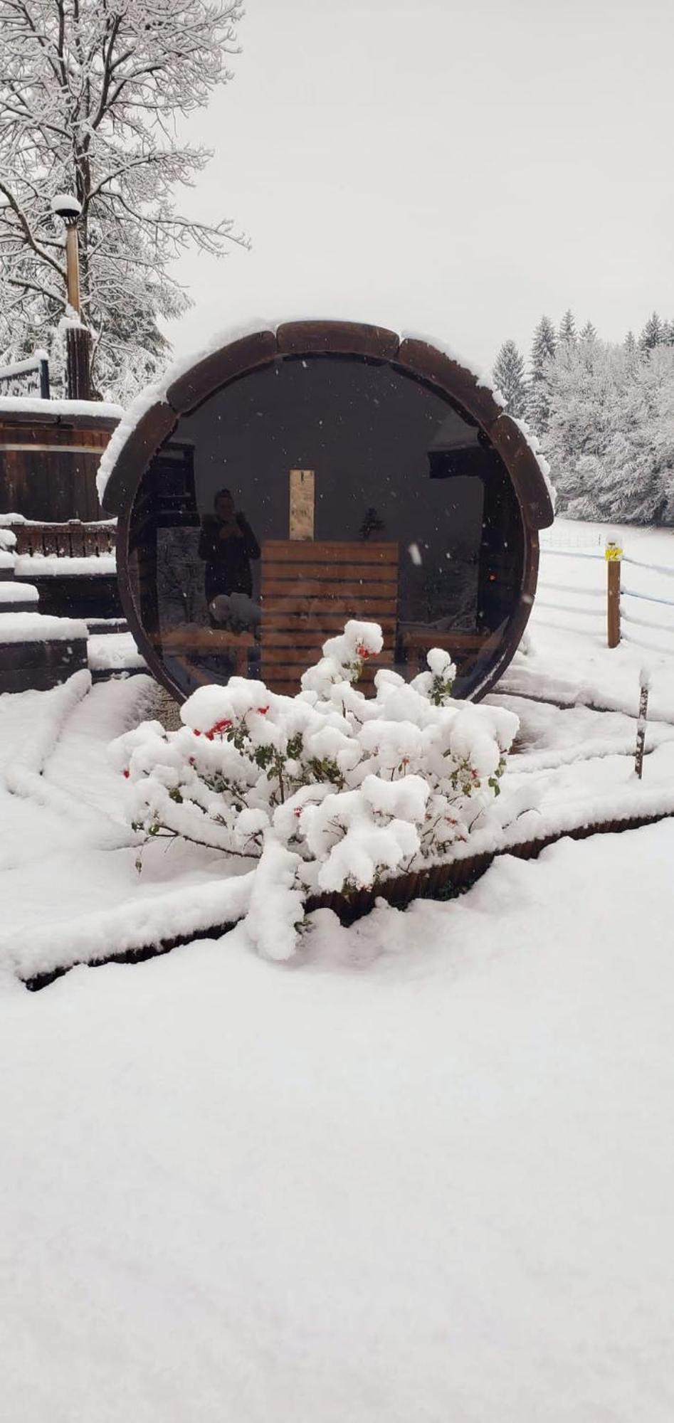 Les Chalets De Ludran Viuz-en-Sallaz 외부 사진