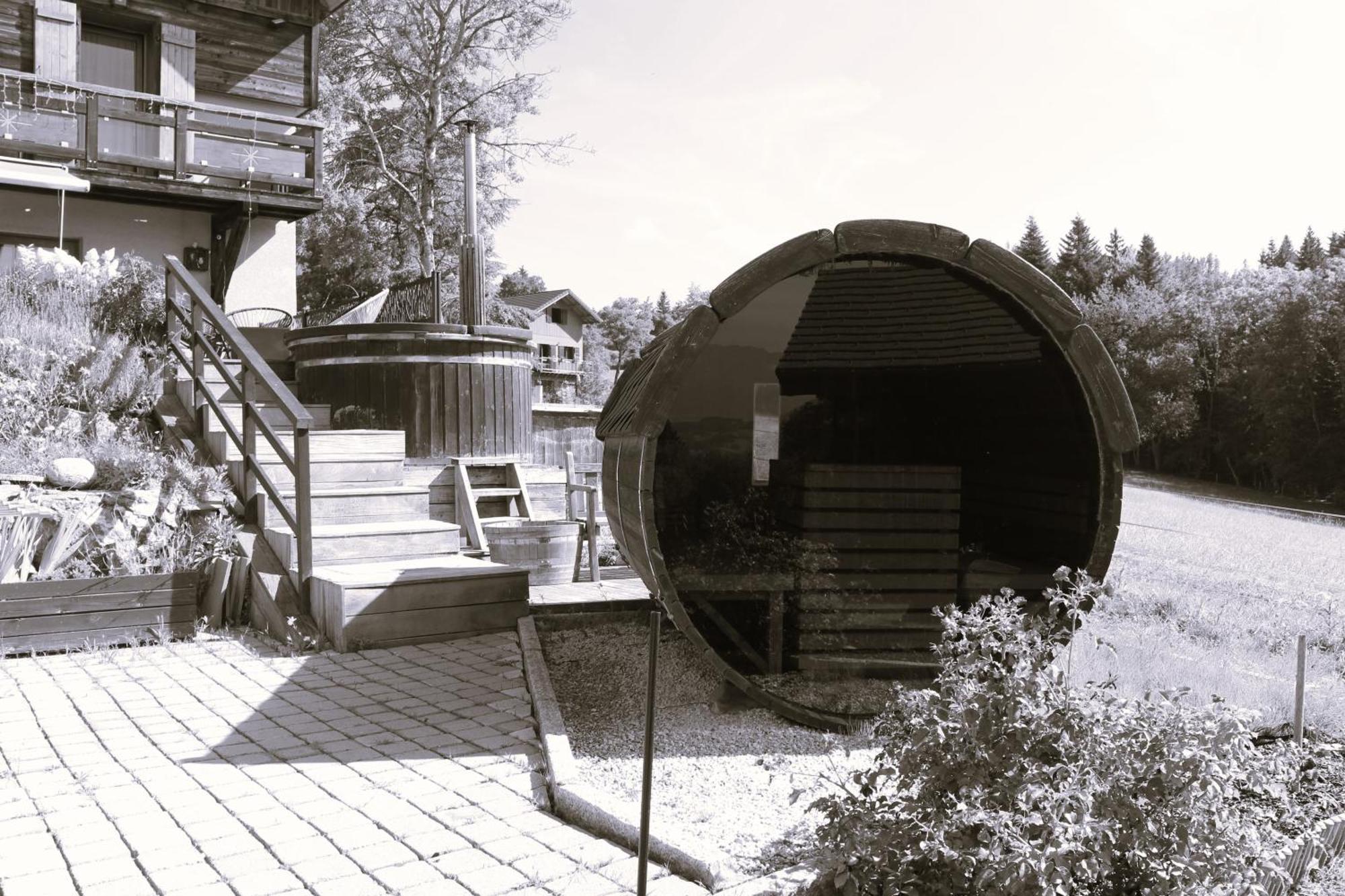 Les Chalets De Ludran Viuz-en-Sallaz 외부 사진